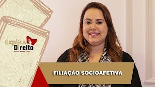 Explica Direito Filiação Socioafetiva  2019 [upl. by Assital552]